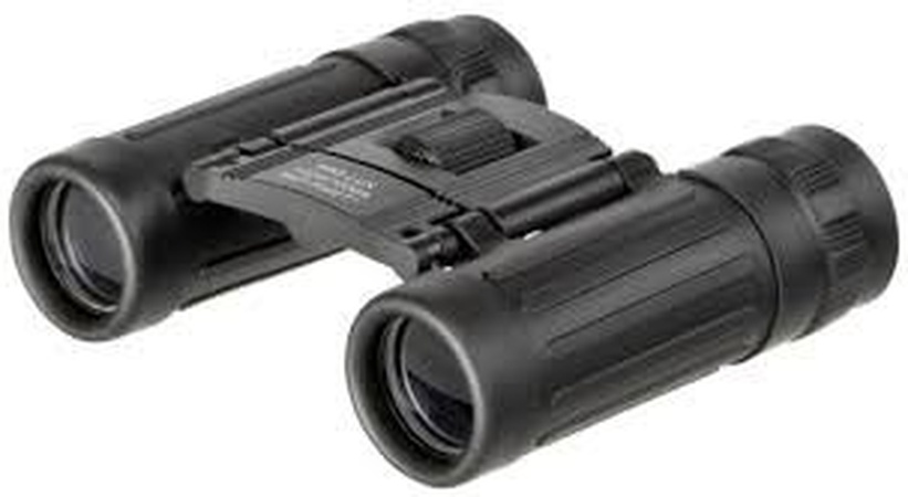 PRO-LUX Pocket binocular 8x21 black