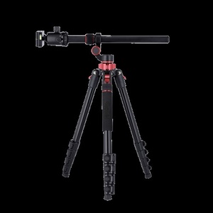 Rollei Compact Traveler No. 2 XL Photo