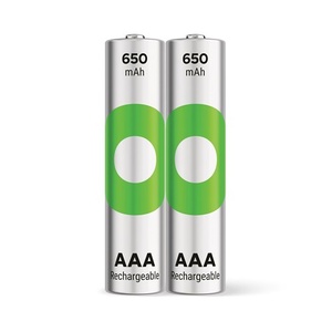 GP AAA batterij Oplaadbaar NiMH 650 mAh RECYKO 1,2V 2 stuks